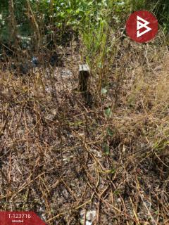 ขายด่วนที่ดิน เนื้อที่ 2 ไร่ บางพลี สมุทรปราการ ทำเลดี ติดถนน-202510091250241759989024519.jpg