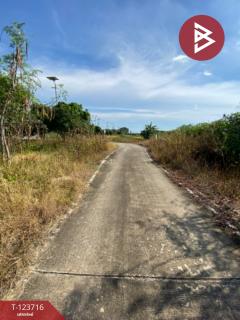 ขายด่วนที่ดิน เนื้อที่ 2 ไร่ บางพลี สมุทรปราการ ทำเลดี ติดถนน-202510091250251759989025040.jpg