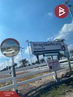 ขายด่วนที่ดิน เนื้อที่ 2 ไร่ บางพลี สมุทรปราการ ทำเลดี ติดถนน-202510091250261759989026585.jpg