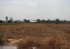 ขายที่ดินว่างเปล่ามือสอง    อำเภอชุมพลบุรี  สุรินทร์