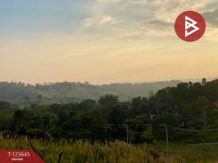 ขายที่ดินสวยแปลงมุม เนื้อที่ 309 ตารางวา เขาค้อไฮแลนด์ (Khaokor Highland) เพชรบูรณ์-202510091349251759992565170.jpg