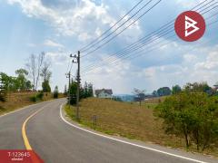 ขายที่ดินสวยแปลงมุม เนื้อที่ 309 ตารางวา เขาค้อไฮแลนด์ (Khaokor Highland) เพชรบูรณ์-202510091349251759992565698.jpg