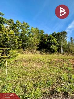 ขายที่ดินสวยแปลงมุม เนื้อที่ 309 ตารางวา เขาค้อไฮแลนด์ (Khaokor Highland) เพชรบูรณ์-202510091349291759992569381.jpg