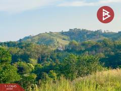 ขายที่ดินสวยแปลงมุม เนื้อที่ 309 ตารางวา เขาค้อไฮแลนด์ (Khaokor Highland) เพชรบูรณ์-202510091349291759992569914.jpg