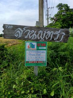 ขายที่ดินสวย ทำเลดี ใกล้ถนนใหญ่ เดินทางสะดวกมาก-202510091353351759992815067.jpg