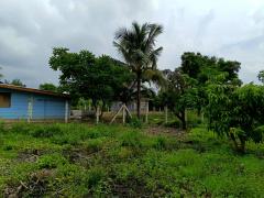 ขายที่ดินสวย ทำเลดี ใกล้ถนนใหญ่ เดินทางสะดวกมาก-202510091353391759992819374.jpg