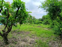 ขายที่ดินสวย ทำเลดี ใกล้ถนนใหญ่ เดินทางสะดวกมาก-202510091353391759992819924.jpg