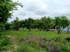 ขายที่ดินสวย ทำเลดี ใกล้ถนนใหญ่ เดินทางสะดวกมาก-202510091353401759992820474.jpg