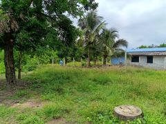 ขายที่ดินสวย ทำเลดี ใกล้ถนนใหญ่ เดินทางสะดวกมาก-202510091353411759992821018.jpg