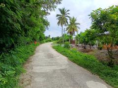 ขายที่ดินสวย ทำเลดี ใกล้ถนนใหญ่ เดินทางสะดวกมาก-202510091353411759992821566.jpg