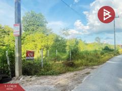 ขายที่ดิน-เนื้อที่-126.5-ตารางวา-หมู่บ้