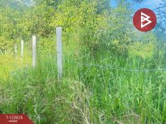 ขายที่ดิน เนื้อที่ 126.5 ตารางวา หมู่บ้านเบญจรงค์ หารแก้ว หางดง เชียงใหม่-202510091411581759993918145.jpg