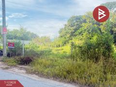 ขายที่ดิน เนื้อที่ 126.5 ตารางวา หมู่บ้านเบญจรงค์ หารแก้ว หางดง เชียงใหม่-202510091411581759993918668.jpg