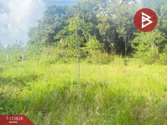 ขายที่ดิน เนื้อที่ 126.5 ตารางวา หมู่บ้านเบญจรงค์ หารแก้ว หางดง เชียงใหม่-202510091411591759993919194.jpg