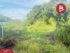 ขายที่ดิน เนื้อที่ 126.5 ตารางวา หมู่บ้านเบญจรงค์ หารแก้ว หางดง เชียงใหม่-202510091411591759993919720.jpg