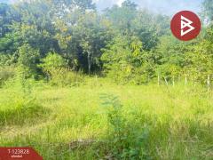 ขายที่ดิน เนื้อที่ 126.5 ตารางวา หมู่บ้านเบญจรงค์ หารแก้ว หางดง เชียงใหม่-202510091412011759993921845.jpg