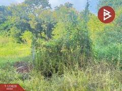 ขายที่ดิน เนื้อที่ 126.5 ตารางวา หมู่บ้านเบญจรงค์ หารแก้ว หางดง เชียงใหม่-202510091412021759993922620.jpg