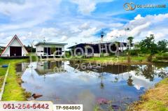 TP-984860 ที่ดินพร้อมบ้านเดี่ยวหนองมะโมง 1 ไร่ (บ้านกลางนาโฮมสเตย์) ชัยนาท ใกล้โลตัส ชัยนาท-202510091423201759994600971.jpg