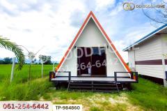 TP-984860 ที่ดินพร้อมบ้านเดี่ยวหนองมะโมง 1 ไร่ (บ้านกลางนาโฮมสเตย์) ชัยนาท ใกล้โลตัส ชัยนาท-202510091423251759994605541.jpg