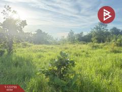  ขายที่ดิน เนื้อที่ 1 งาน 25 ตร.วา สันป่าตอง เชียงใหม่