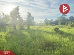  ขายที่ดิน เนื้อที่ 1 งาน 25 ตร.วา สันป่าตอง เชียงใหม่-202510091451061759996266392.jpg