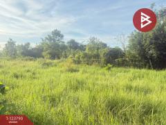  ขายที่ดิน เนื้อที่ 1 งาน 25 ตร.วา สันป่าตอง เชียงใหม่-202510091451071759996267432.jpg