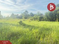  ขายที่ดิน เนื้อที่ 1 งาน 25 ตร.วา สันป่าตอง เชียงใหม่-202510091451071759996267951.jpg