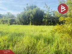  ขายที่ดิน เนื้อที่ 1 งาน 25 ตร.วา สันป่าตอง เชียงใหม่-202510091451081759996268475.jpg