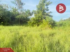  ขายที่ดิน เนื้อที่ 1 งาน 25 ตร.วา สันป่าตอง เชียงใหม่-202510091451081759996268999.jpg