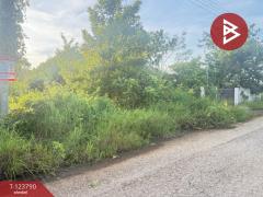  ขายที่ดิน เนื้อที่ 1 งาน 25 ตร.วา สันป่าตอง เชียงใหม่-202510091451101759996270045.jpg