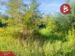  ขายที่ดิน เนื้อที่ 1 งาน 25 ตร.วา สันป่าตอง เชียงใหม่-202510091451111759996271095.jpg