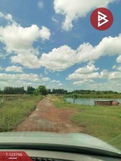 ขายที่ดิน เนื้อที่ 9 ไร่ 46.6 ตร.วา บางน้ำจืด สมุทรสาคร-202510091503301759997010094.jpg