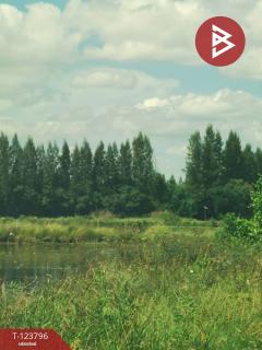 ขายที่ดิน เนื้อที่ 9 ไร่ 46.6 ตร.วา บางน้ำจืด สมุทรสาคร-202510091503301759997010983.jpg