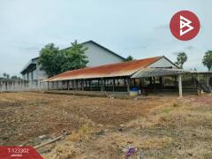 ขายที่ดิน เนื้อที่ 2 งาน นครชัยศรี นครปฐม-202510091523301759998210630.jpg