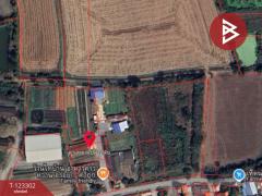 ขายที่ดิน เนื้อที่ 2 งาน นครชัยศรี นครปฐม-202510091523321759998212196.jpg