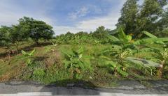 ขายที่ดินเปล่า ติดถนนทางหลวงชนบท ปท.3011 (คลอง 14) เนื้อที่ 7 ไร่  ตำบลพืชอุดม อำเภอลำลูกกา จังหวัดปทุมธานี