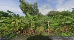 ขายที่ดินเปล่า ติดถนนทางหลวงชนบท ปท.3011 (คลอง 14) เนื้อที่ 7 ไร่  ตำบลพืชอุดม อำเภอลำลูกกา จังหวัดปทุมธานี-202510091556481760000208934.jpg