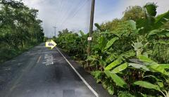 ขายที่ดินเปล่า ติดถนนทางหลวงชนบท ปท.3011 (คลอง 14) เนื้อที่ 7 ไร่  ตำบลพืชอุดม อำเภอลำลูกกา จังหวัดปทุมธานี-202510091556541760000214211.jpg