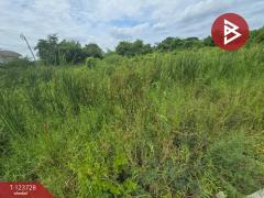 ขายที่ดิน เนื้อที่ 2 ไร่ 2 งาน ซอยประชาอุทิศ 76 พระสมุทรเจดีย์ สมุทรปราการ-202510091629331760002173533.jpg