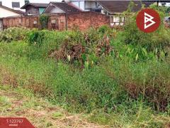 ขายที่ดิน 2 แปลง รวมเนื้อที่ 2 งาน 0.3 ตร.วา จันทนิมิต จันทบุรี-202510091642561760002976019.jpg