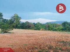 ขายที่ดิน-เนื้อที่-5-ไร่-75.7-ตร.วา-ตะพง-ร