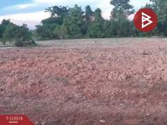 ขายที่ดิน เนื้อที่ 5 ไร่ 75.7 ตร.วา ตะพง ระยอง-202510091707221760004442556.jpg