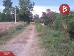 ขายที่ดิน เนื้อที่ 5 ไร่ 75.7 ตร.วา ตะพง ระยอง-202510091707231760004443704.jpg