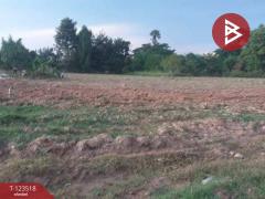 ขายที่ดิน เนื้อที่ 5 ไร่ 75.7 ตร.วา ตะพง ระยอง-202510091707241760004444315.jpg