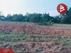 ขายที่ดิน เนื้อที่ 5 ไร่ 75.7 ตร.วา ตะพง ระยอง-202510091707251760004445124.jpg