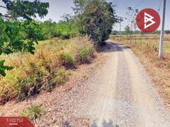 ขายที่ดิน เนื้อที่ 3 ไร่ 1 งาน 32.0 ตารางวา ชุมแพ ขอนแก่น-202510091715271760004927004.jpg