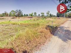 ขายที่ดิน เนื้อที่ 3 ไร่ 1 งาน 32.0 ตารางวา ชุมแพ ขอนแก่น-202510091715281760004928307.jpg