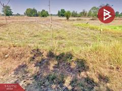 ขายที่ดิน เนื้อที่ 3 ไร่ 1 งาน 32.0 ตารางวา ชุมแพ ขอนแก่น-202510091715281760004928931.jpg