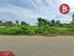 ขายที่ดิน-เนื้อที่-6-ไร่-2-งาน-93-ตร.วา-พน