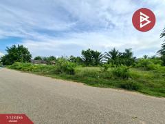 ขายที่ดิน เนื้อที่ 6 ไร่ 2 งาน 93 ตร.วา พนัสนิคม ชลบุรี-202510091718251760005105269.jpg